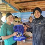 4446f8808d210770b9415462a7134564952ff1ad281d69bdca9da828e52b456e.0