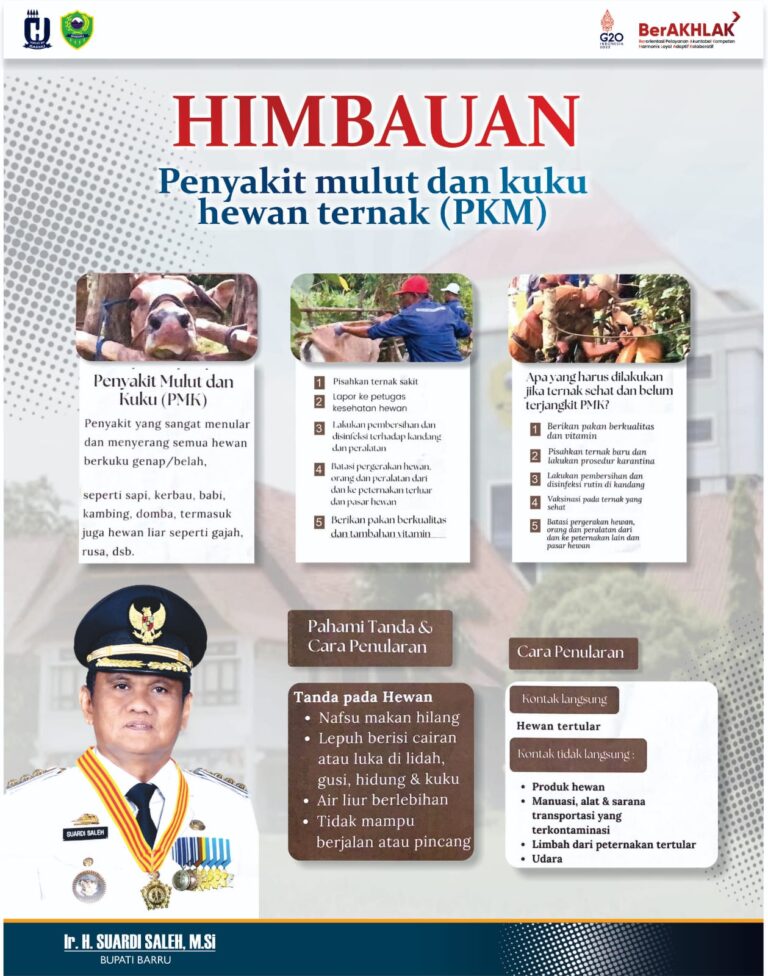 Bupati Barru Keluarkan Himbauan Terkait PMK Hewan Ternak