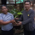 Sekretaris Daerah Serahkan Ratusan Bibit Aren Kepada Kades Pujananting Diwakilkan Kadis Pertanian 700dfefb56a68fff1f98dc3f6c4089c378733b4a76f5f7fd1beabcc9b40747c6.0