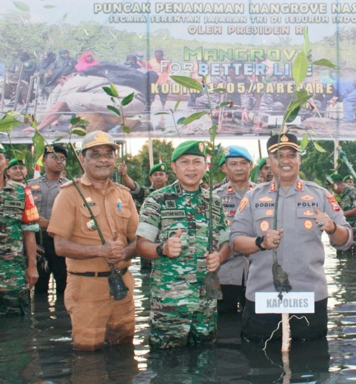 Dandim 1405 – Mallusetasi Bersama Forkopimda Gelar Tanam 1.500 Pohon Mangrove di Dusun Tanrabalana