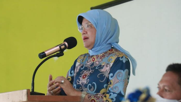 Ketua TP.PKK Barru Hasnah Syam Sosialisasi Program Ketenagakerjaan di Do-Doi