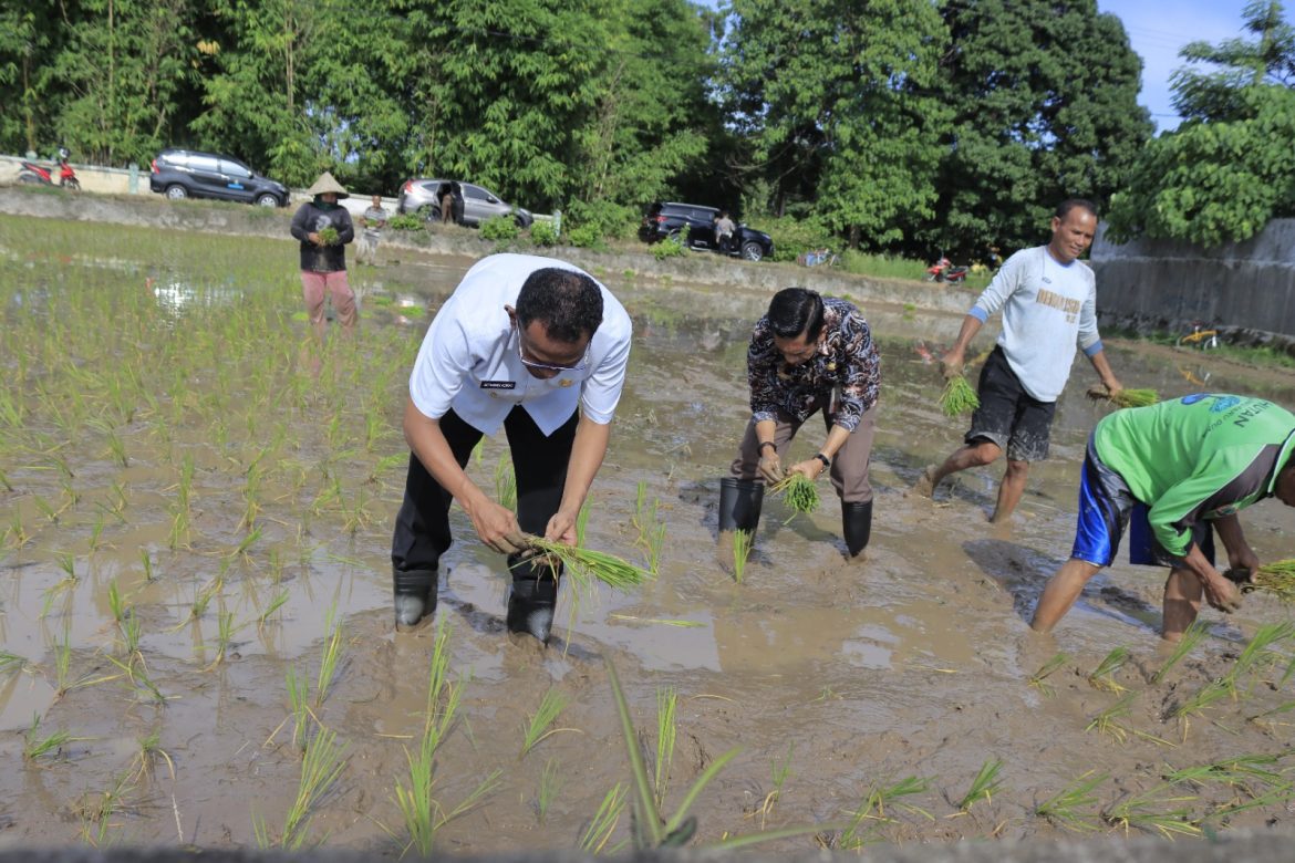Dengarkan Keluh Kesah Petani, Pj. Bupati Takalar Ikut Tanam Padi