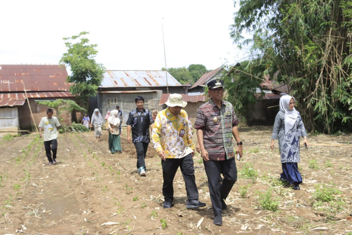 Pj. Bupati Takalar Mengunjungi Pengepul Dan Petani Cabe Di Wilayah Mangadu Kecamatan Mangarabombang