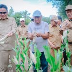 Bupati Barru Melakukan Panen Jagung Perdana di Desa Balusu IMG-20240819-WA0053