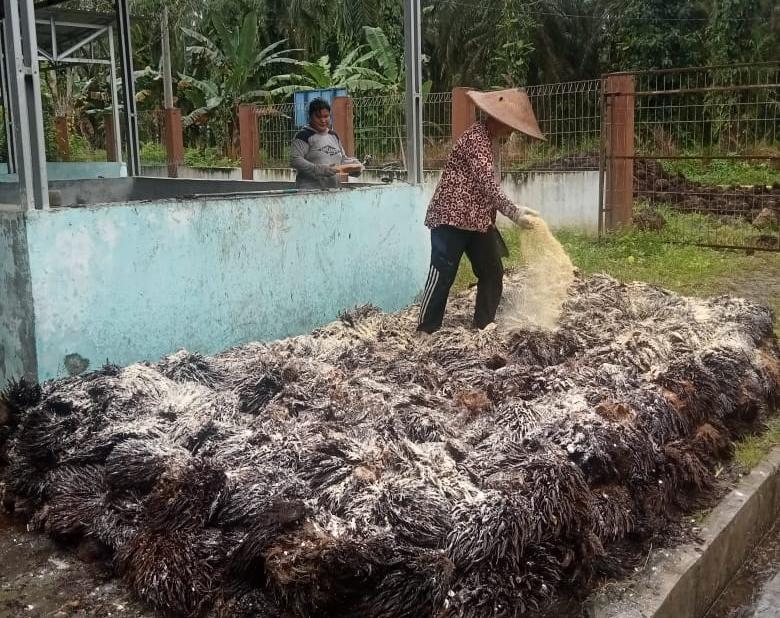 PT Pasangkayu Melalui Program CSR Kembangan Budidaya Jamur, Anggota DRPD Apresiasi