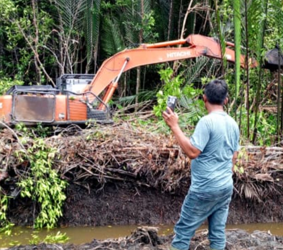 Penegak Hukum di Minta Segera Lakukan Penindakan Tegas Soal Kasus Perusakan Mangrove
