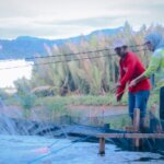 e1e60b293df801097fdec7d31132c068f506e8c3dcfff8acfb8a32985e97cf42.0