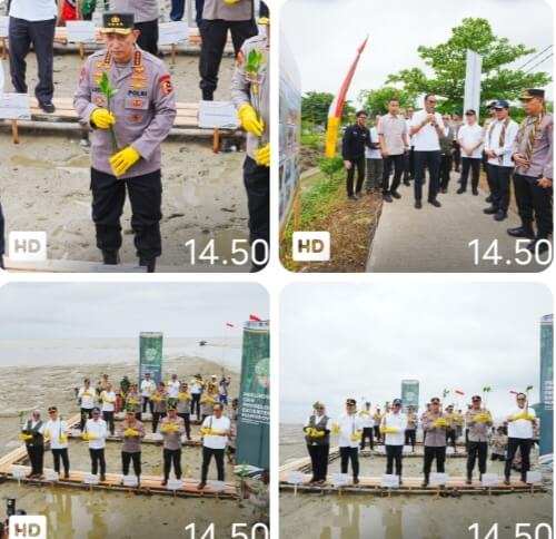 Tanam Mangrove di Kalbar, Kapolri: Jaga Lingkungan untuk Masa Depan Anak-Cucu Kita