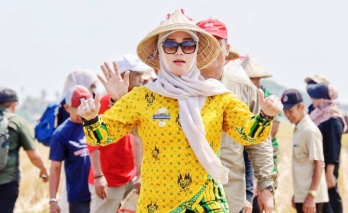 Bupati Barru Dorong Produktivitas Petani Lewat Budidaya Padi Varietas Soeharto