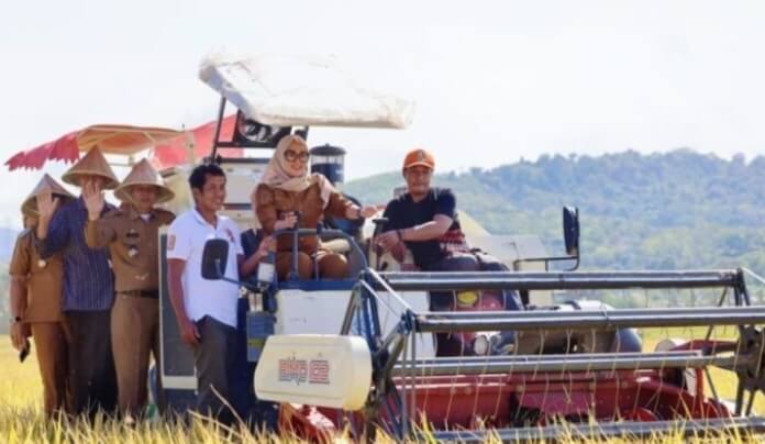 Bupati Barru Hadiri Panen Bersama Padi MT 2025 di Kiru-Kiru