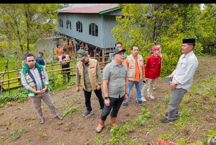 Wabup Barru Tinjau Lahan Kopi Pujananting, Dorong Hilirisasi dan Branding Kopi Daerah@@