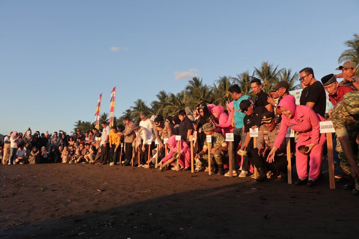 Semarak Hari Bhayangkara ke-80, Polres Barru Lepaskan 58 Tukik di Pantai Cilellang